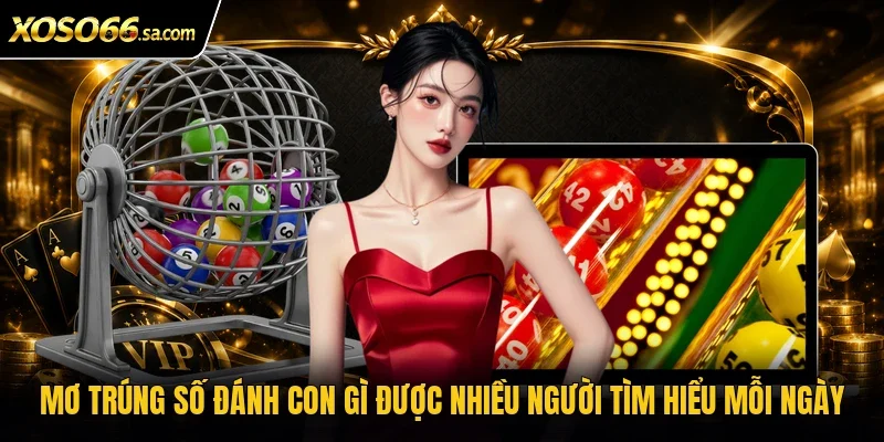Mơ trúng số đánh con gì được nhiều người tìm hiểu mỗi ngày 